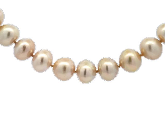 Yellow South Sea Pearls